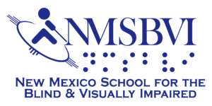 NMSBVI logo